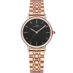 Жіночий годинник Boerni Aibisino LadyBoss