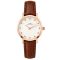 Жіночий годинник Baosaili Ibso Aura Leather